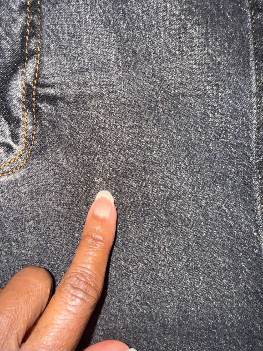 Pilcro Seamed Denim Shorts